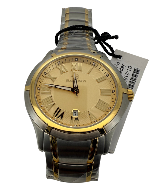 Two-Tone Date Watch